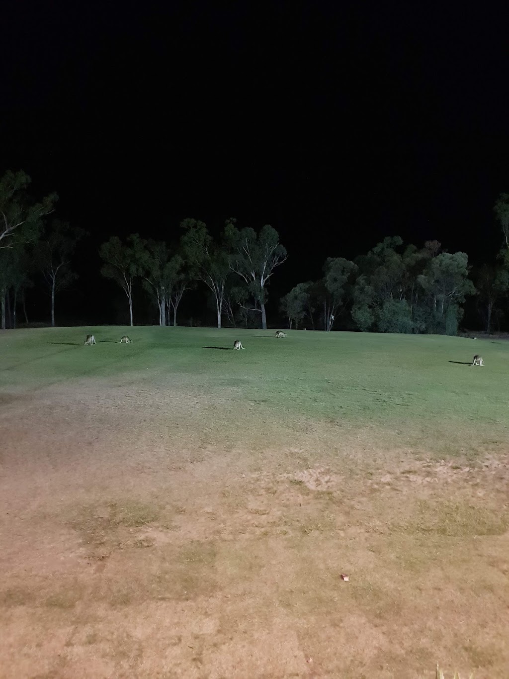 Middlemount Golf and Country Club Inc | 1 Centenary Dr N, Middlemount QLD 4746, Australia | Phone: (07) 4985 7830