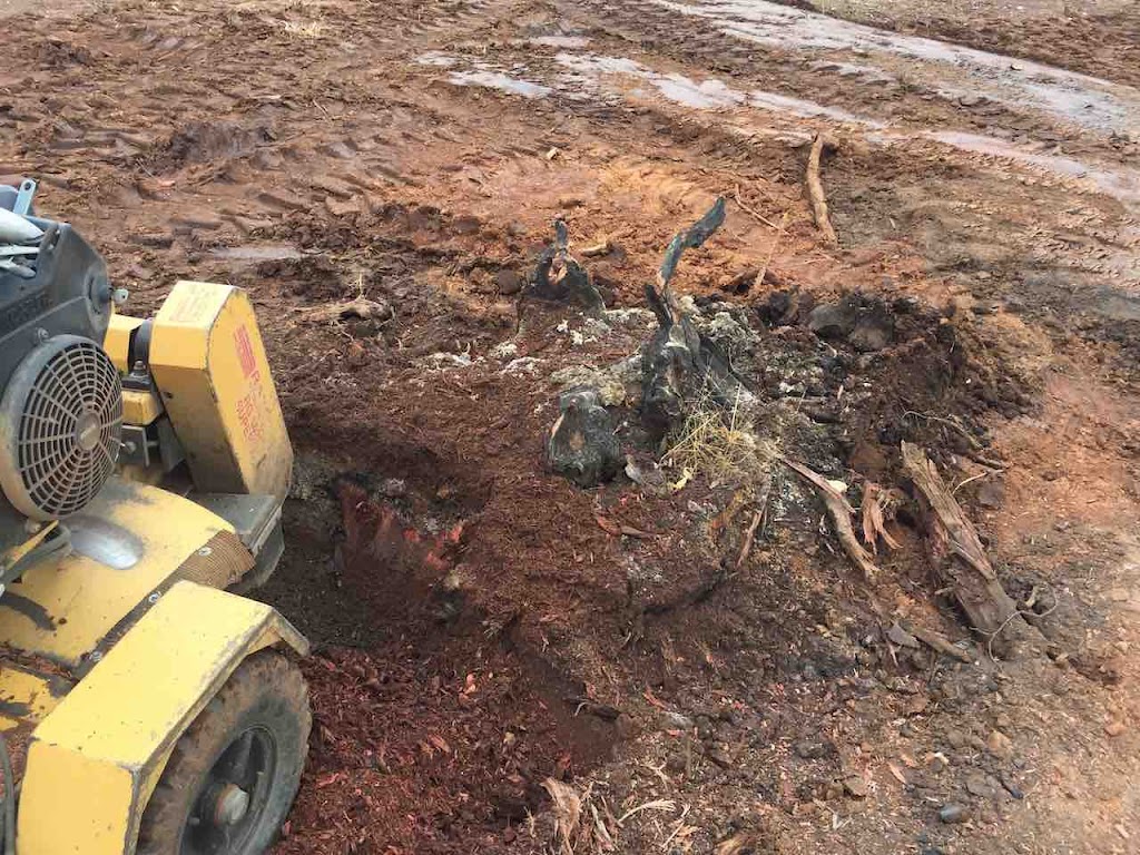 Leigh Price Tree Stump Removals | general contractor | 93 Wallace Street, Coolamon NSW 2701, Australia | 0423528988 OR +61 423 528 988