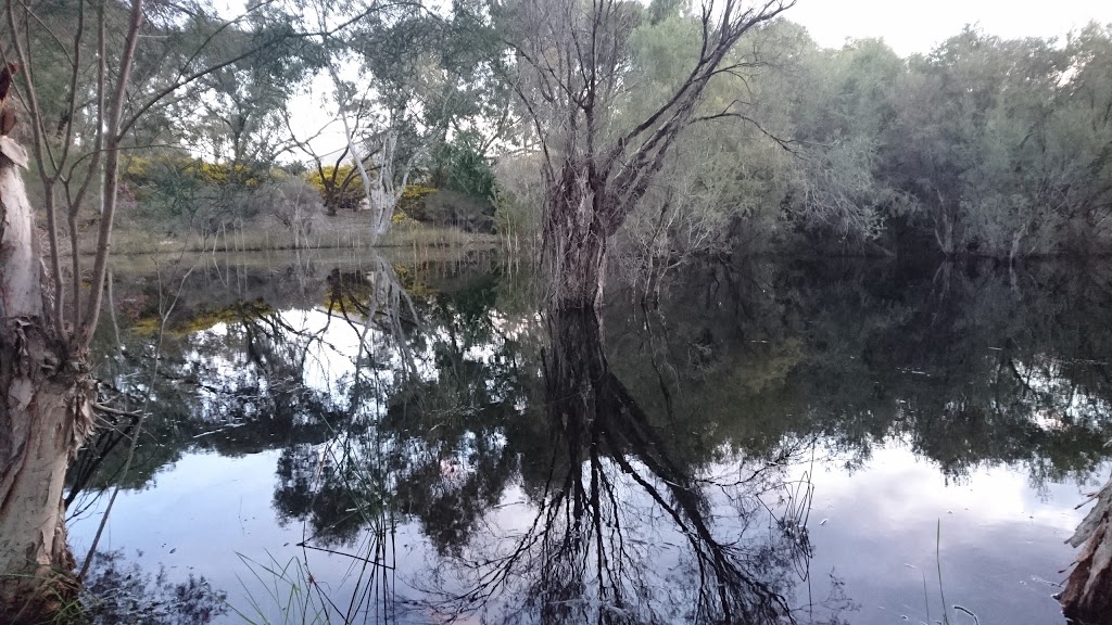 Broadway Arboretum | Bassendean WA 6054, Australia