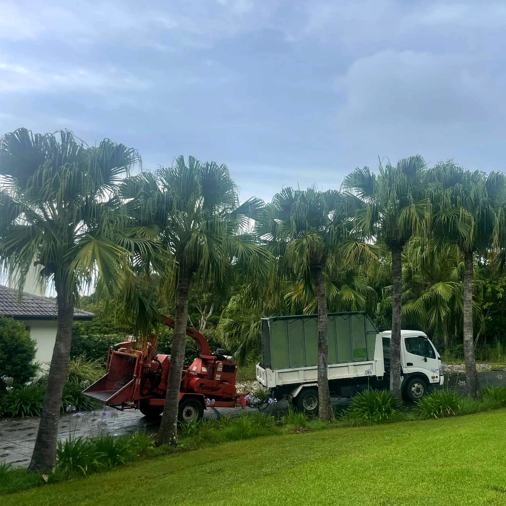 Pacific Tree Services | 31B Alexander Ln, Eltham NSW 2480, Australia | Phone: 0448 954 559