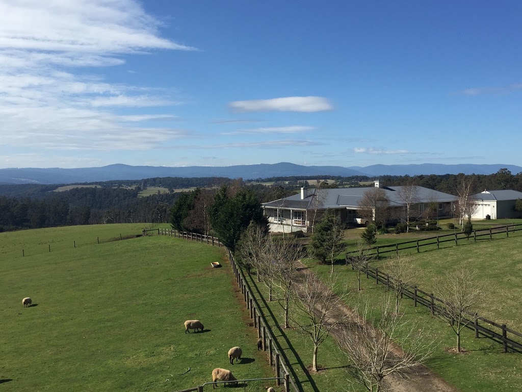 Cheeky Fox Retreat | 36 Extons Rd, Kinglake Central VIC 3757, Australia | Phone: 0415 205 500