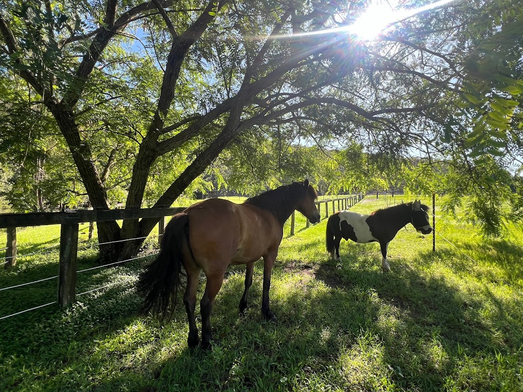 Unbridled Equine | 406 Guanaba Creek Rd, Guanaba QLD 4210, Australia | Phone: 0424 183 161