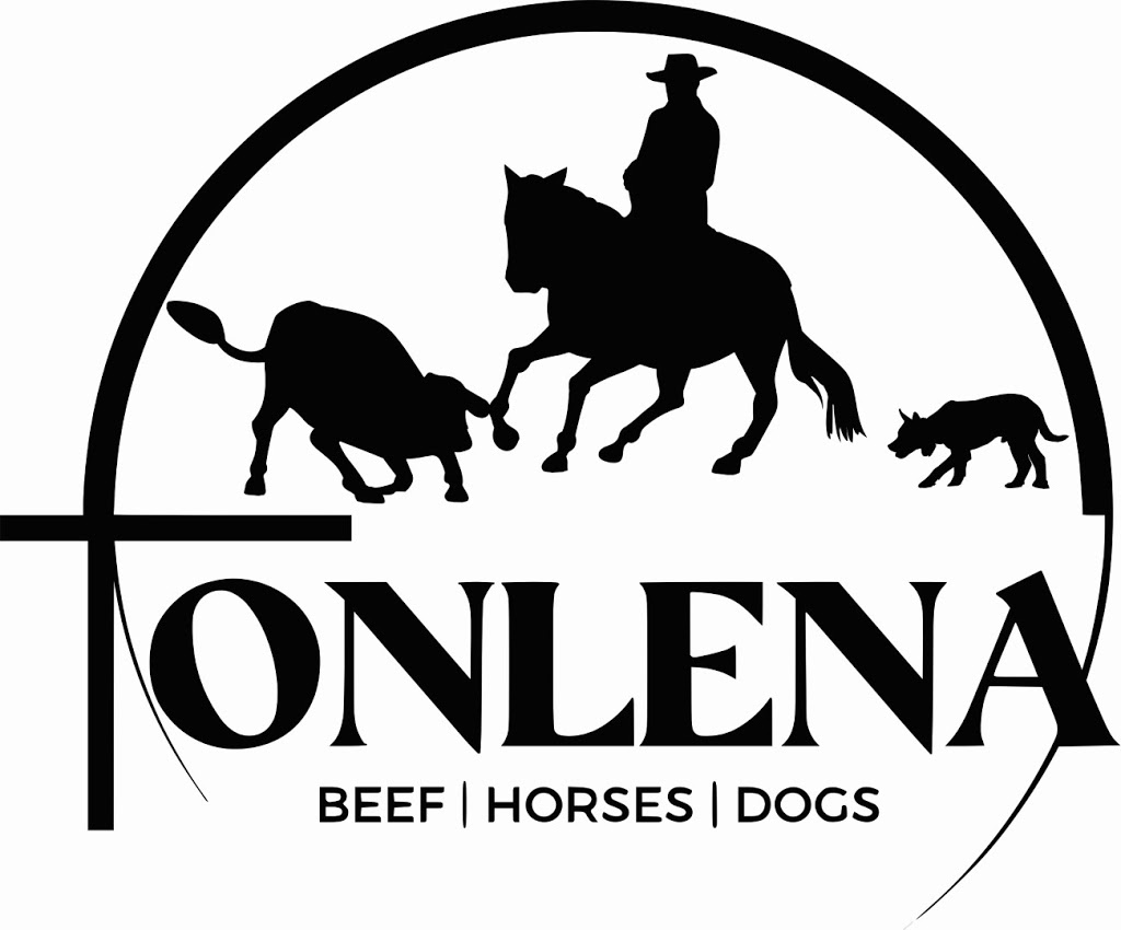 Tonlena Quarter Horses | 12 Edgewood Dr, Emerald QLD 4720, Australia | Phone: (07) 4982 0437