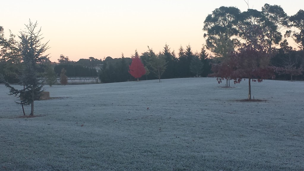 CPR Horticultural Services | 198 Wilson Dr, Hill Top NSW 2575, Australia | Phone: 0415 500 261