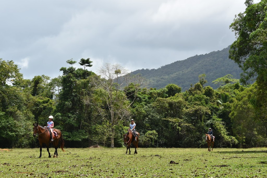 Cape Tribulation Horse Rides | 3831 Cape Tribulation Rd, Cape Tribulation QLD 4873, Australia | Phone: 1800 111 124