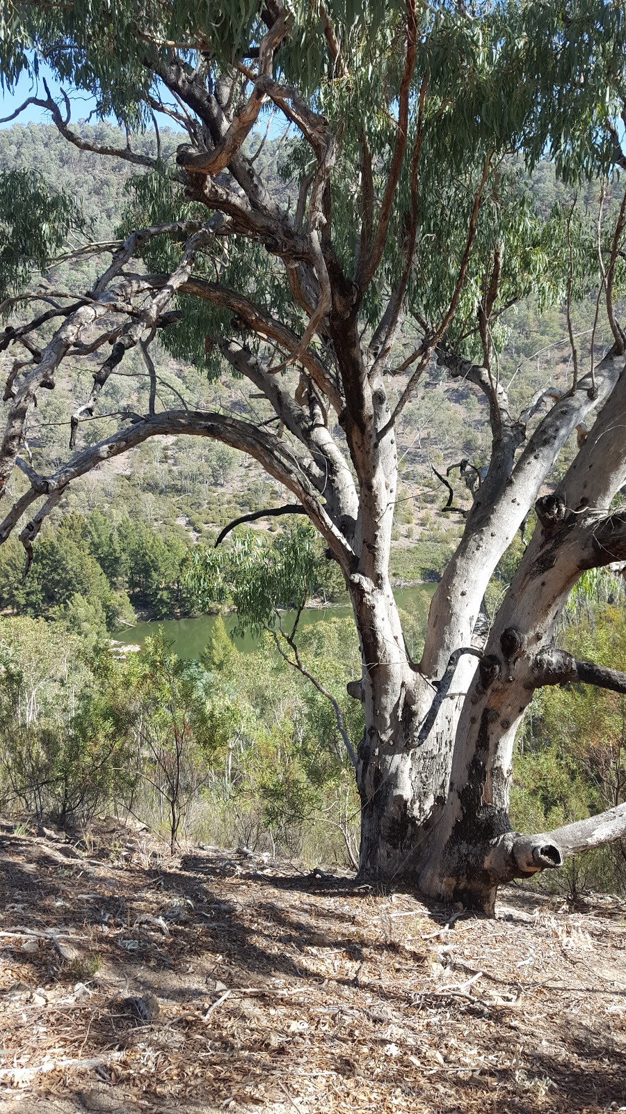 Red Rock Gorge Lookout | park | Tuggeranong ACT 2901, Australia