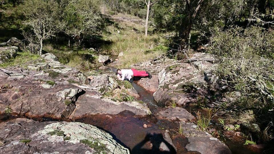 Scone Mountain National Park | Scone NSW 2337, Australia