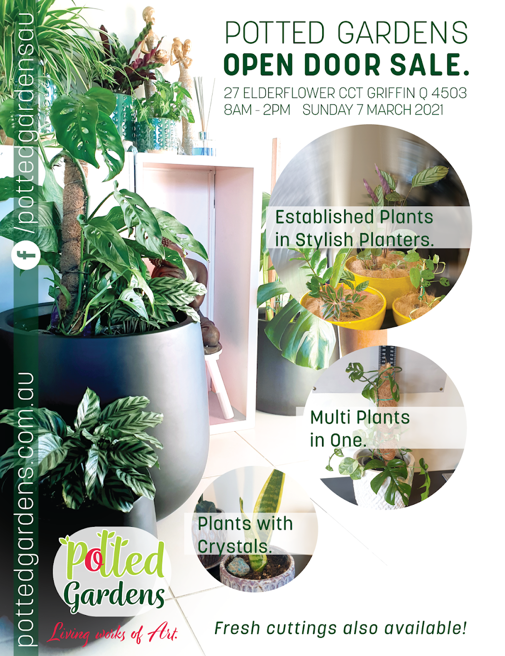 Potted Gardens | florist | 27 Elderflower Cct, Griffin QLD 4503, Australia | 0424640277 OR +61 424 640 277