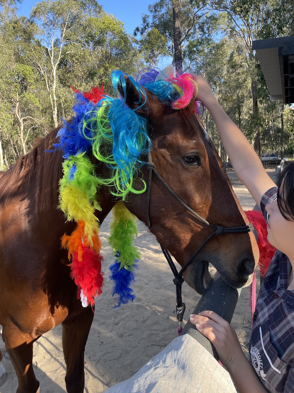 Deeper Soul Connections | 59-65 Teviot Rd, Carbrook QLD 4130, Australia | Phone: 0421 486 709