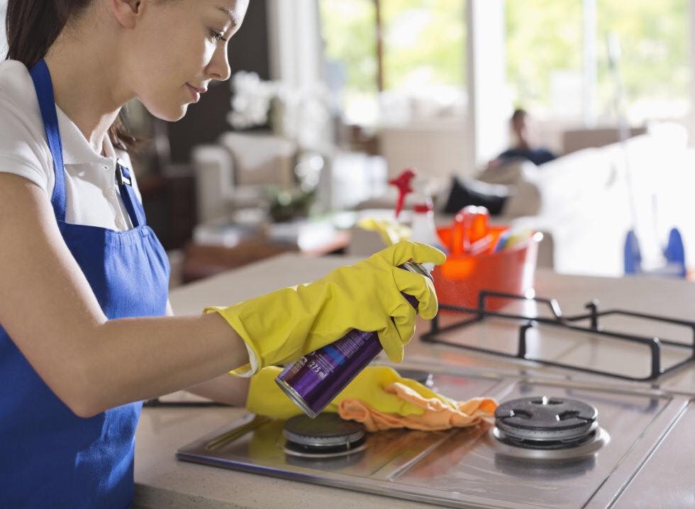 Yellow bird cleaning | 22 Pointer Dr, Pakenham VIC 3810, Australia | Phone: 0432 701 791