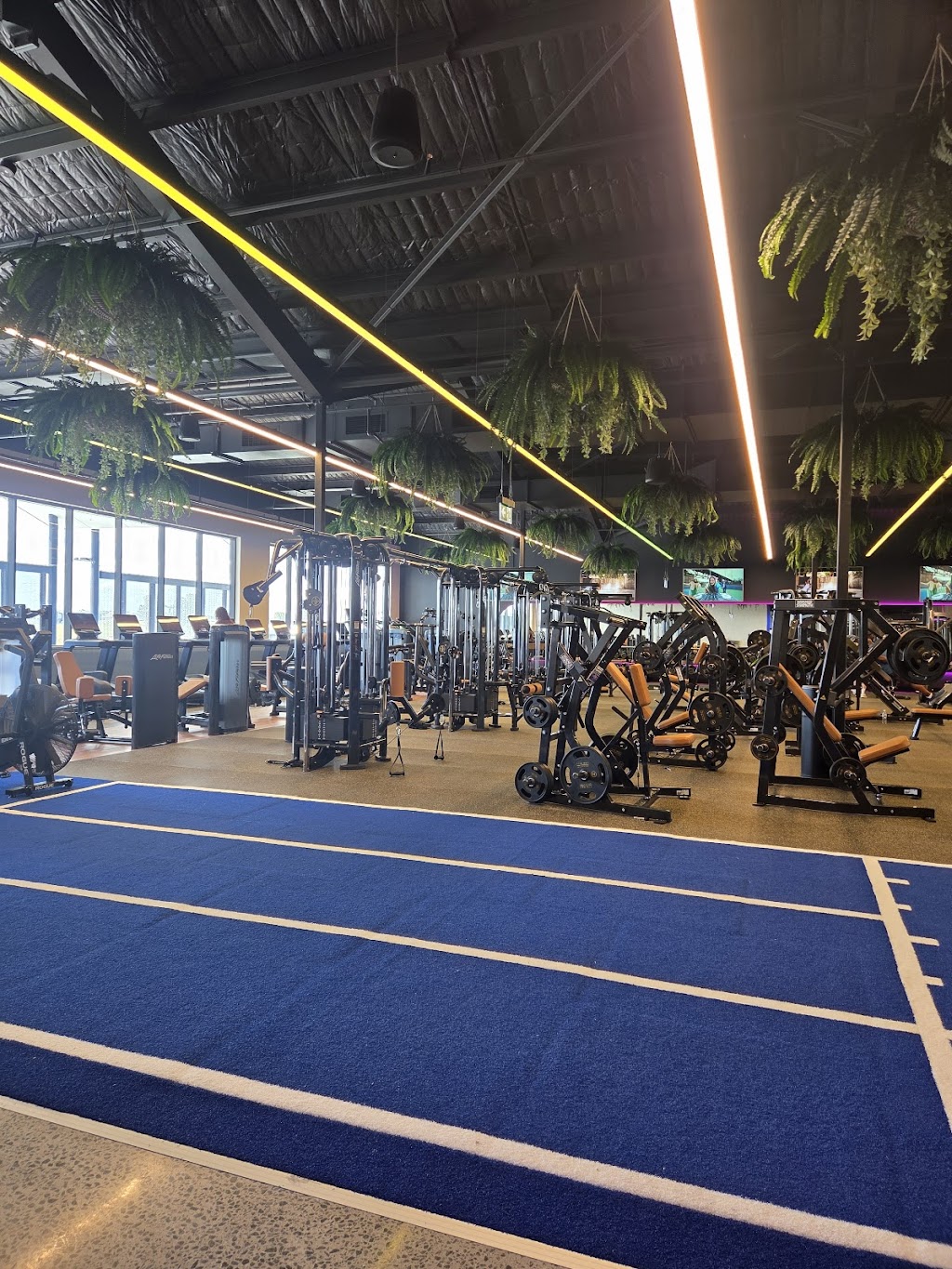 Live Well Health Clubs | 4 Lakefront Cres, Gables NSW 2765, Australia | Phone: 0488 994 455
