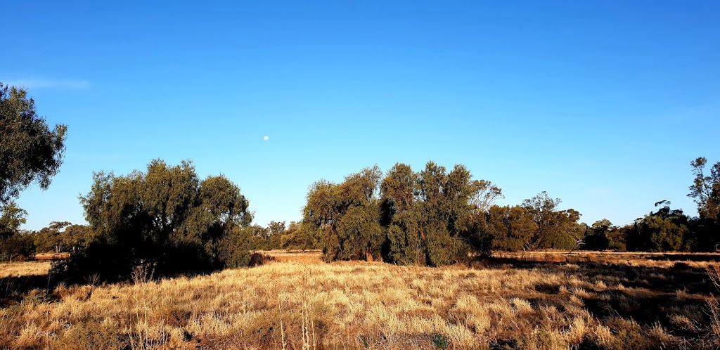 Langtree Nature Reserve | Hillston NSW 2675, Australia