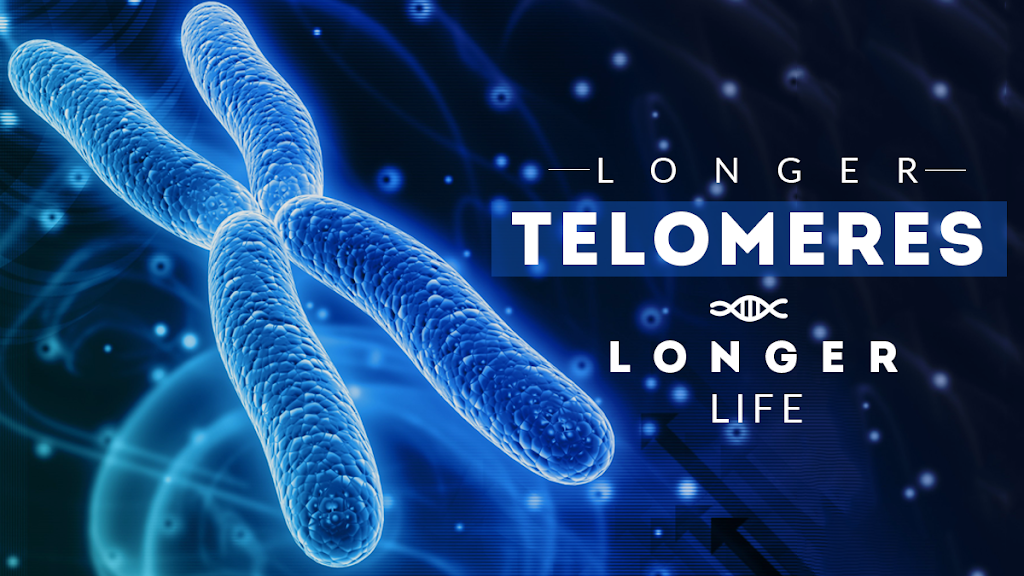 Telomere Biomedical | store | 2/281 Great Eastern Hwy, Burswood WA 6100, Australia | 0865581705 OR +61 8 6558 1705