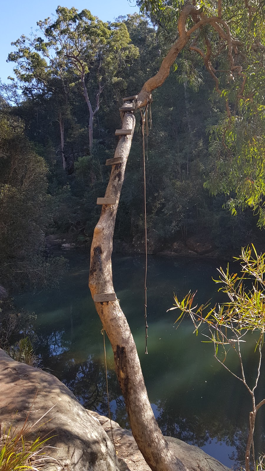 Blue Pool Walking Track | The Oaks Trail, Blue Mountains National Park NSW 2787, Australia | Phone: (02) 4720 6200