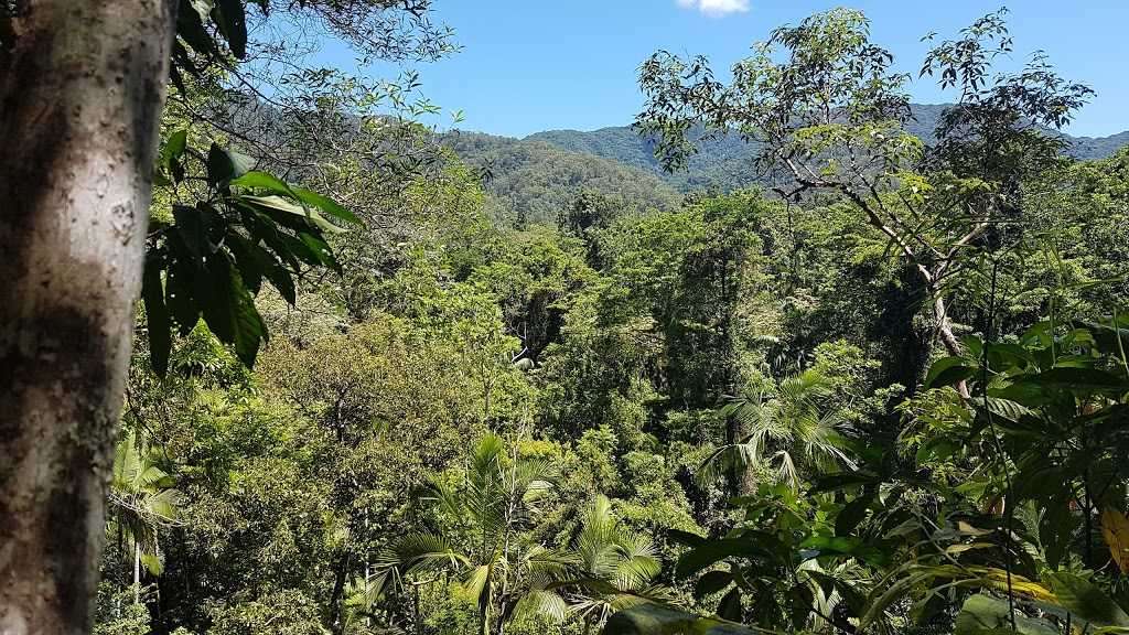 Forest Flying | travel agency | 18 Olivers Road, Finch Hatton Gorge, Finch Hatton QLD 4756, Australia | 0749583359 OR +61 7 4958 3359