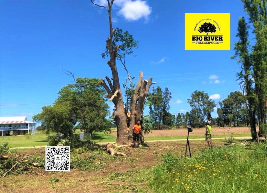 Big River Tree Services |  | 97 West St, Woombah NSW 2469, Australia | 0407438138 OR +61 407 438 138