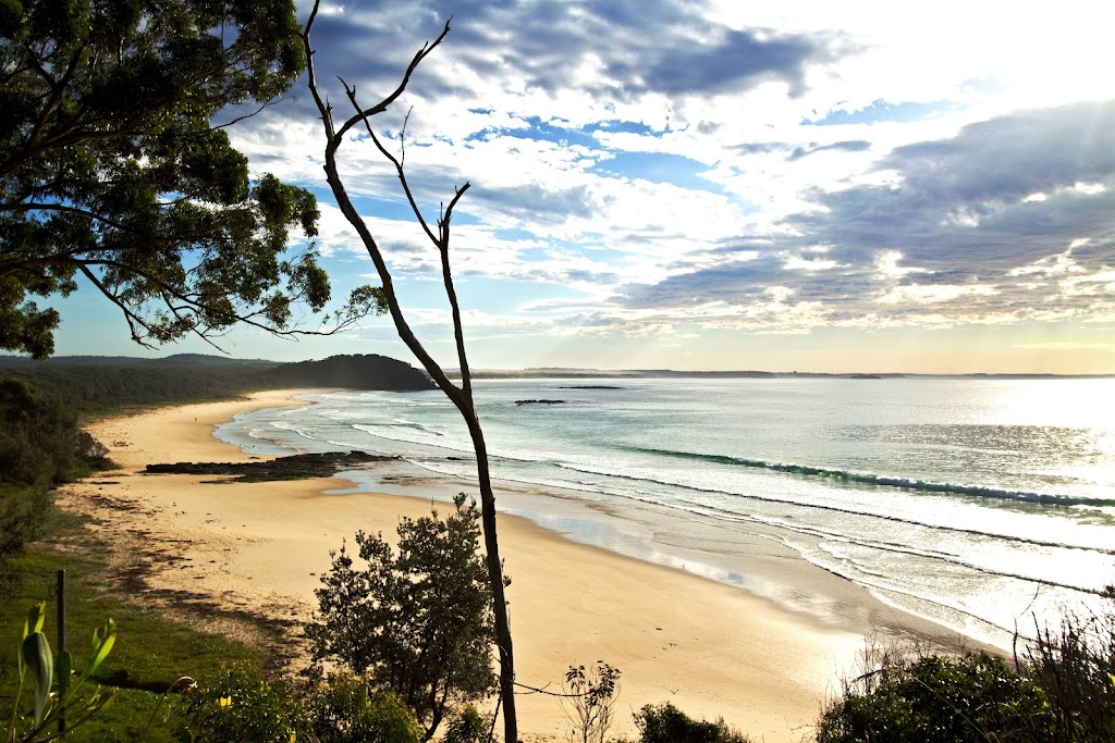 Figtree Cottage of Milton | 98 Little Frst Rd, Little Forest NSW 2538, Australia | Phone: 0414 313 157