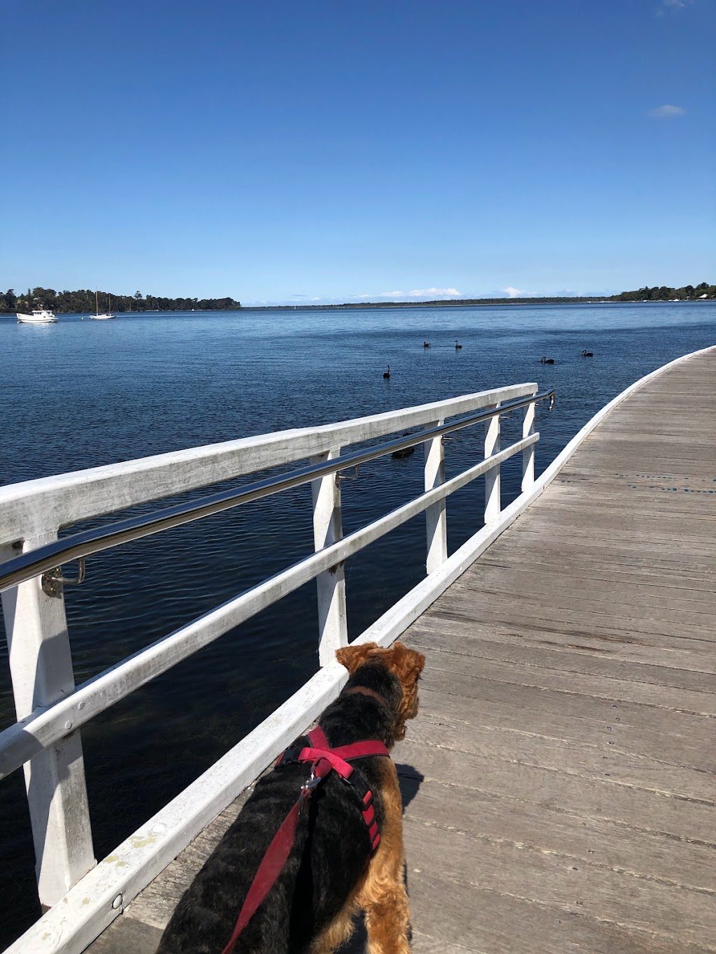 Ocean Blue Coastal Retreats - The Mariner | 4 Bossie Ct, Metung VIC 3904, Australia | Phone: (03) 9775 4015