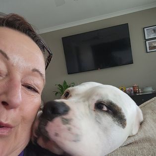 Jims Dog Wash California Gully | 22 Pearce St, California Gully VIC 3556, Australia | Phone: 0483 092 411