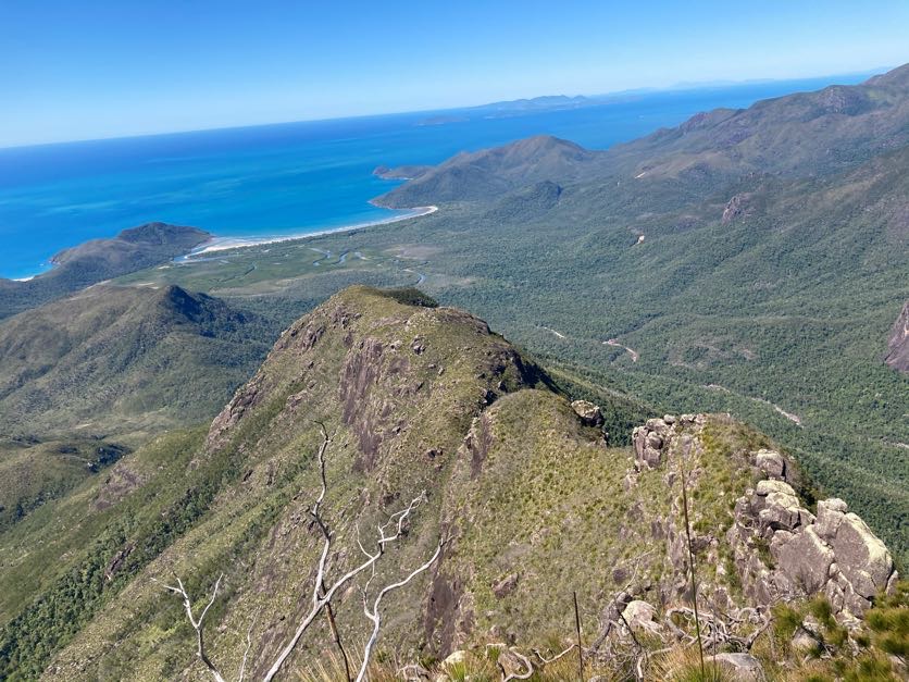 Hinchinbrook Island Cruises | Foxtail Ave Hinchinbrook, Harbour, Cardwell QLD 4849, Australia | Phone: 0499 335 383