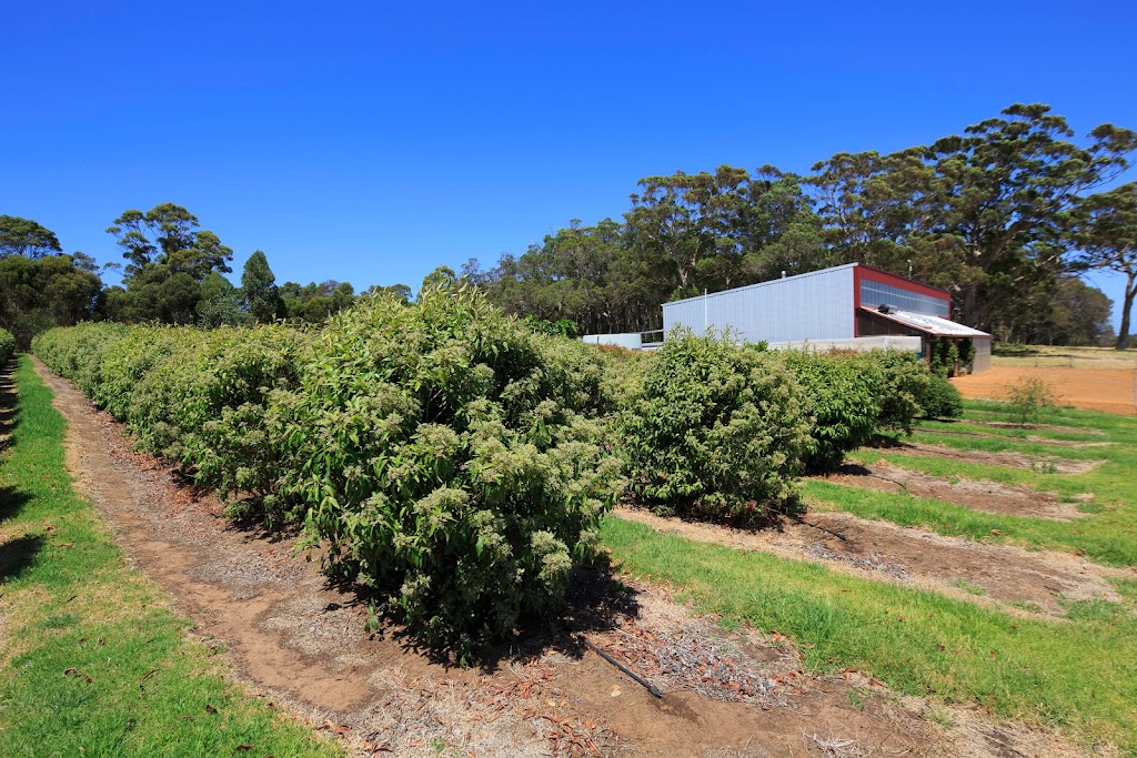 Bushfood Factory | food | 1 Shelley Beach Rd, Kronkup WA 6330, Australia | 0429678676 OR +61 429 678 676