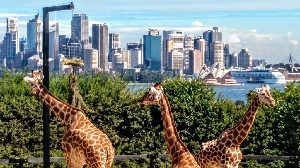 Taronga Zoo Sydney | Bradleys Head Rd, Mosman NSW 2088, Australia | Phone: (02) 9969 2777