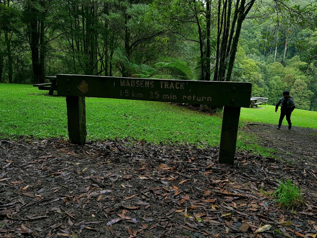 Melba Gully State Park | park | 5 Melba Gully Rd, Lavers Hill VIC 3238, Australia | 131963 OR +61 131963