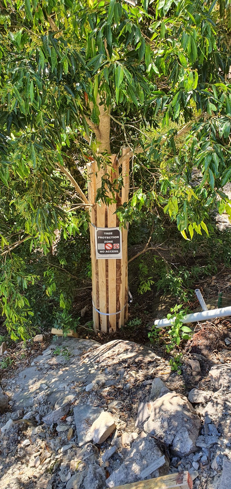 Tree Protection Australia | 10 Pitt Town Rd, Kenthurst NSW 2156, Australia | Phone: 0477 435 782