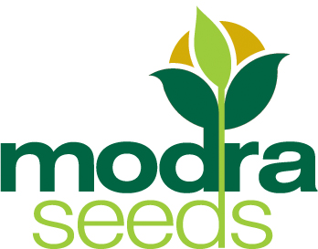 Modra Seeds | 141 Mount Hill Rd, Ungarra SA 5607, Australia | Phone: 0428 868 063