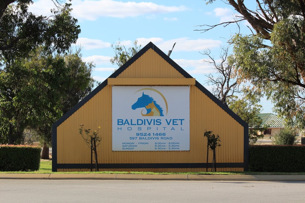 Dr Robert Davies | veterinary care | 597 Baldivis Rd, Baldivis WA 6171, Australia | 0895241466 OR +61 8 9524 1466