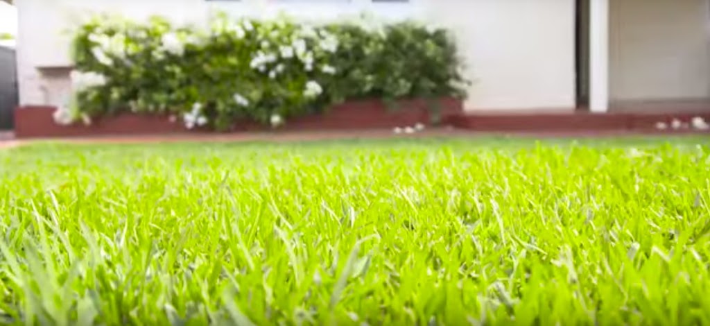 Redlands Mowing | general contractor | 4 Rodds Rd, Russell Island QLD 4184, Australia | 0730887665 OR +61 7 3088 7665