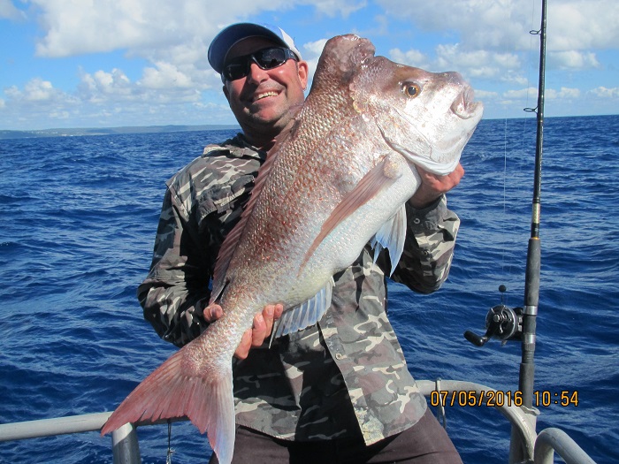 Frenzy Charters |  | William Gunn Jetty, Wyvernleigh Cl, Manly QLD 4179, Australia | 0427424576 OR +61 427 424 576