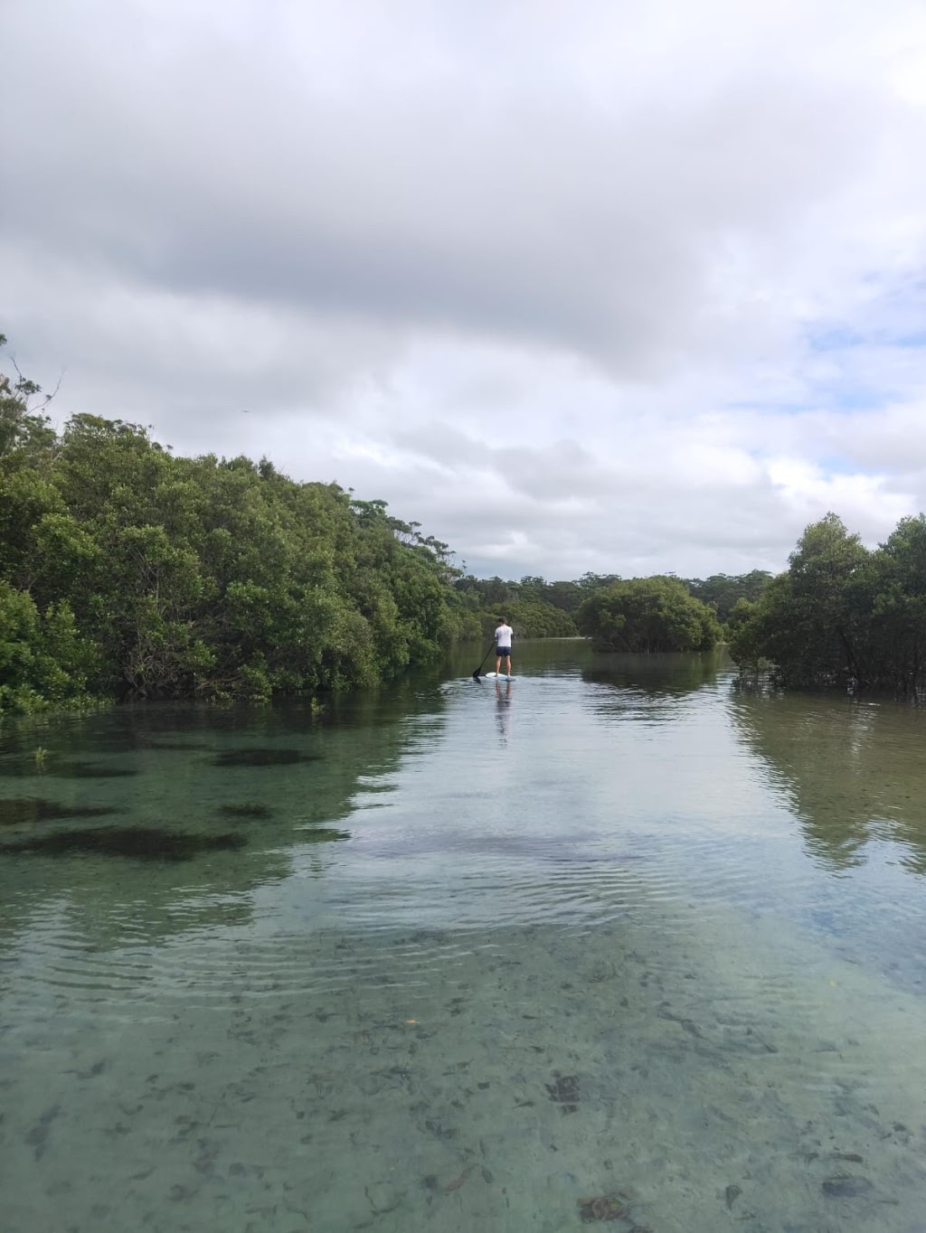 Coastal Paddle Surf | Matron Porter Dr, Narrawallee NSW 2539, Australia | Phone: 0449 672 645