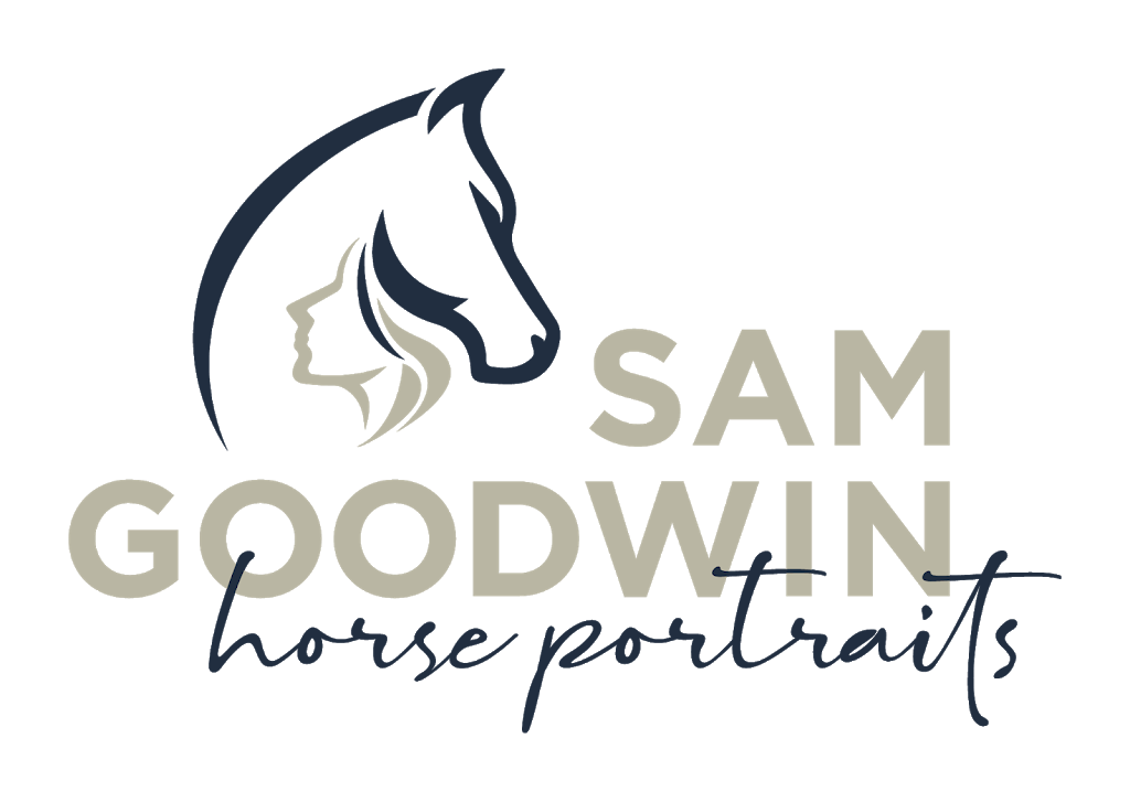 Sam Goodwin Horse Portraits | 58 Perima Rd, Elimbah QLD 4516, Australia | Phone: 0409 476 043