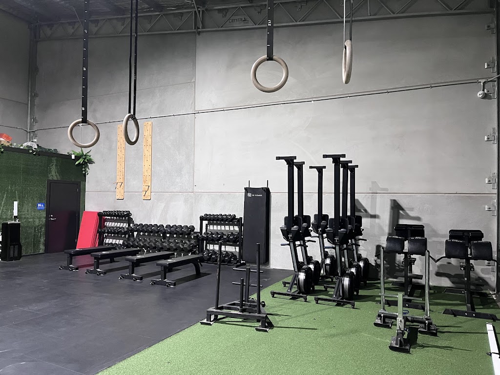 The Shed Gym | 24 Butt St, Canadian VIC 3350, Australia | Phone: 0457 258 469