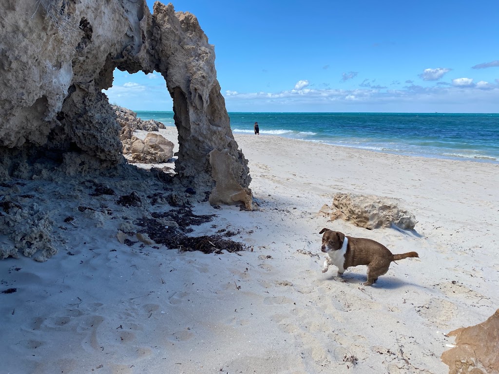 Quinns Dog Beach | 156/158 Ocean Dr, Quinns Rocks WA 6030, Australia | Phone: (08) 9405 5000