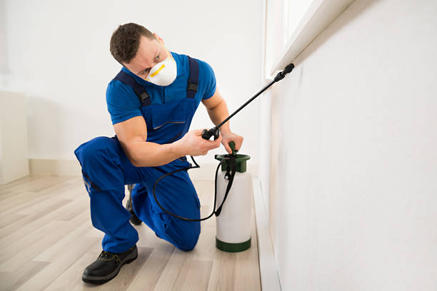 Brendon Ede Pest Management | General pest control | Pest Inspection | Termite Control - Mildura | 150 Pine Ave, Mildura VIC 3502, Australia | Phone: (03) 5022 2336