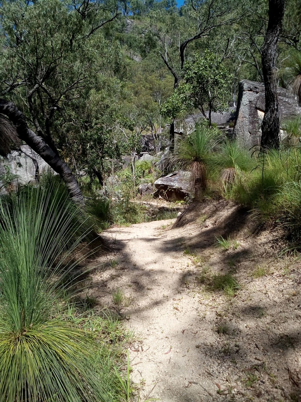 Bare Hill Conservation Park | park | Koah QLD 4881, Australia