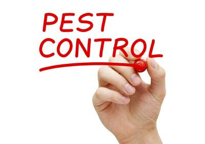 Economic Pest Control | home goods store | Wangaratta VIC 3677, Australia | 1300655774 OR +61 1300 655 774