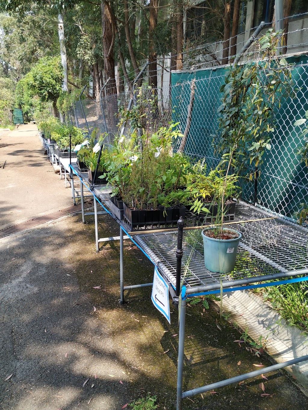 Lane Cove Community Nursery & Eco Gardens | Lane Cove West NSW 2066, Australia | Phone: (02) 9911 3579