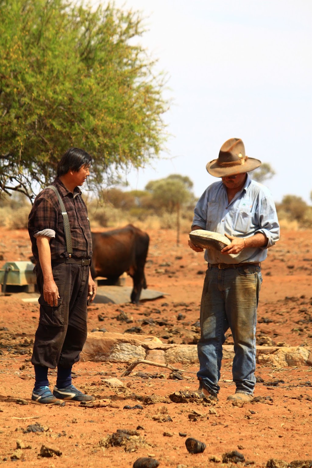 4 Corners windmill | Murchison WA 6630, Australia | Phone: 0467 709 389