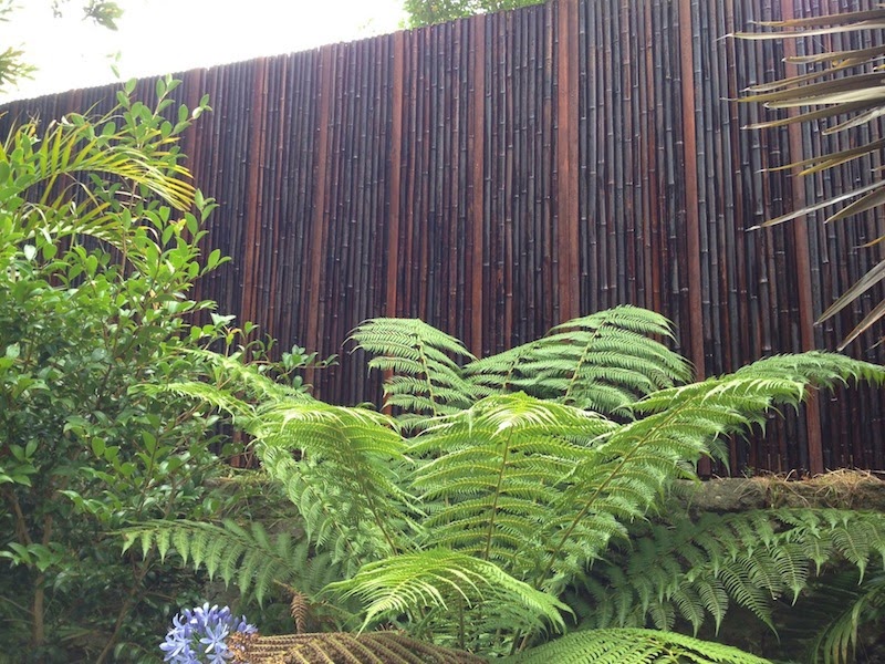 Bamboo Habitat. warehouse | storage | 200 Parkes St, Helensburgh NSW 2508, Australia | 0242941385 OR +61 2 4294 1385
