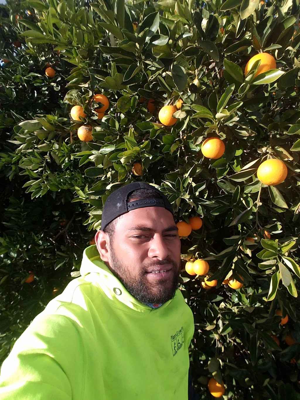 SS Citrus Supply |  | 366 Citrus Dr, Dareton NSW 2717, Australia | 0350274406 OR +61 3 5027 4406