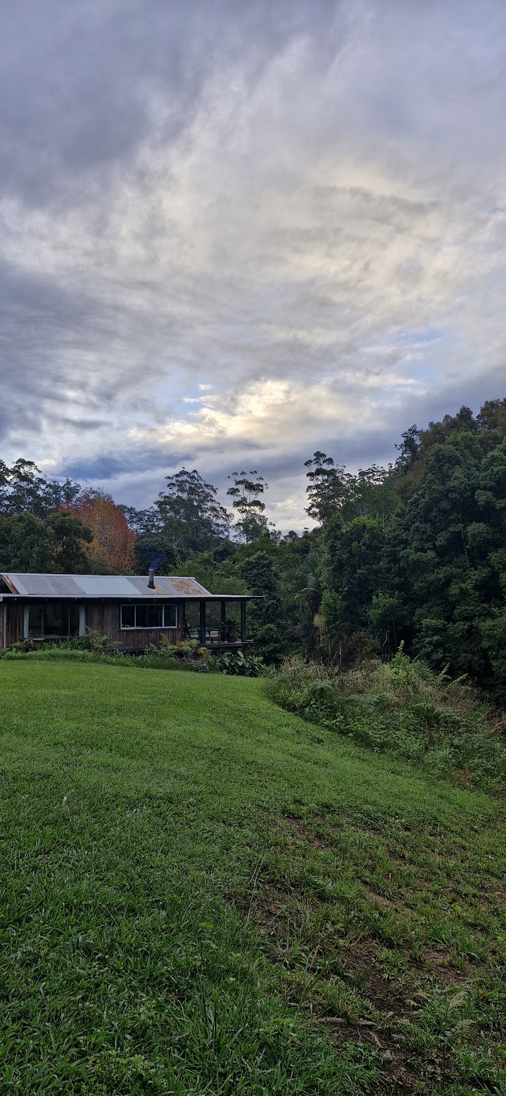 Rainbow Creek | 1257 Kalang Rd, Kalang NSW 2454, Australia | Phone: 0481 258 458