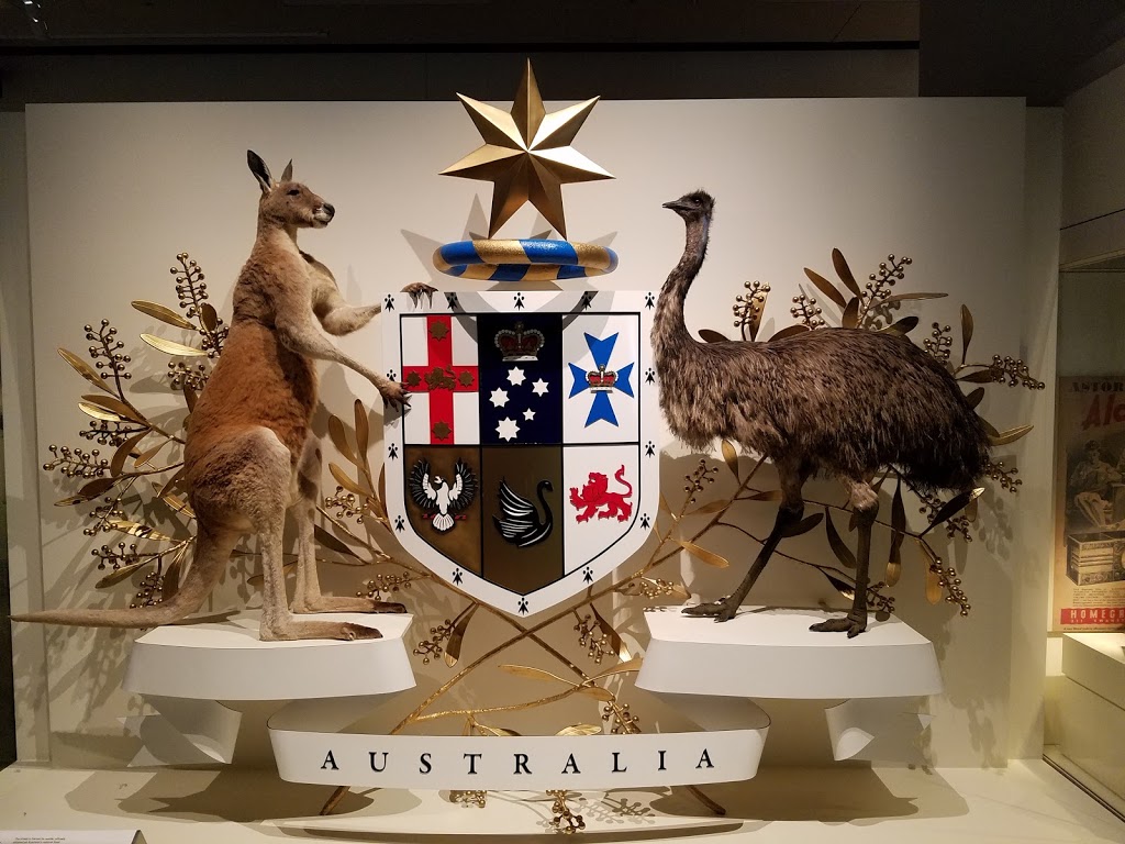 Melbourne Museum | museum | 11 Nicholson St, Carlton VIC 3053, Australia | 0383417777 OR +61 3 8341 7777
