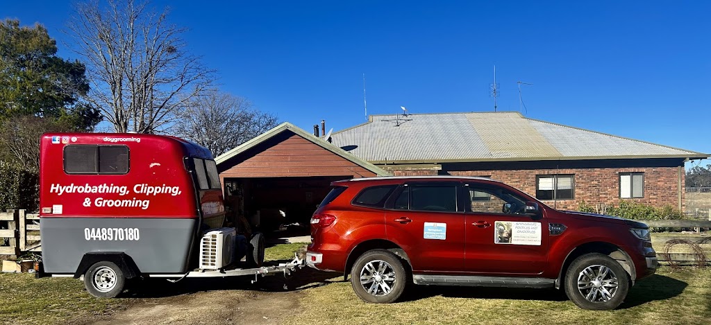 Springshure grooming services | 2721 Wards Mistake Rd, Wards Mistake NSW 2350, Australia | Phone: 0448 970 180