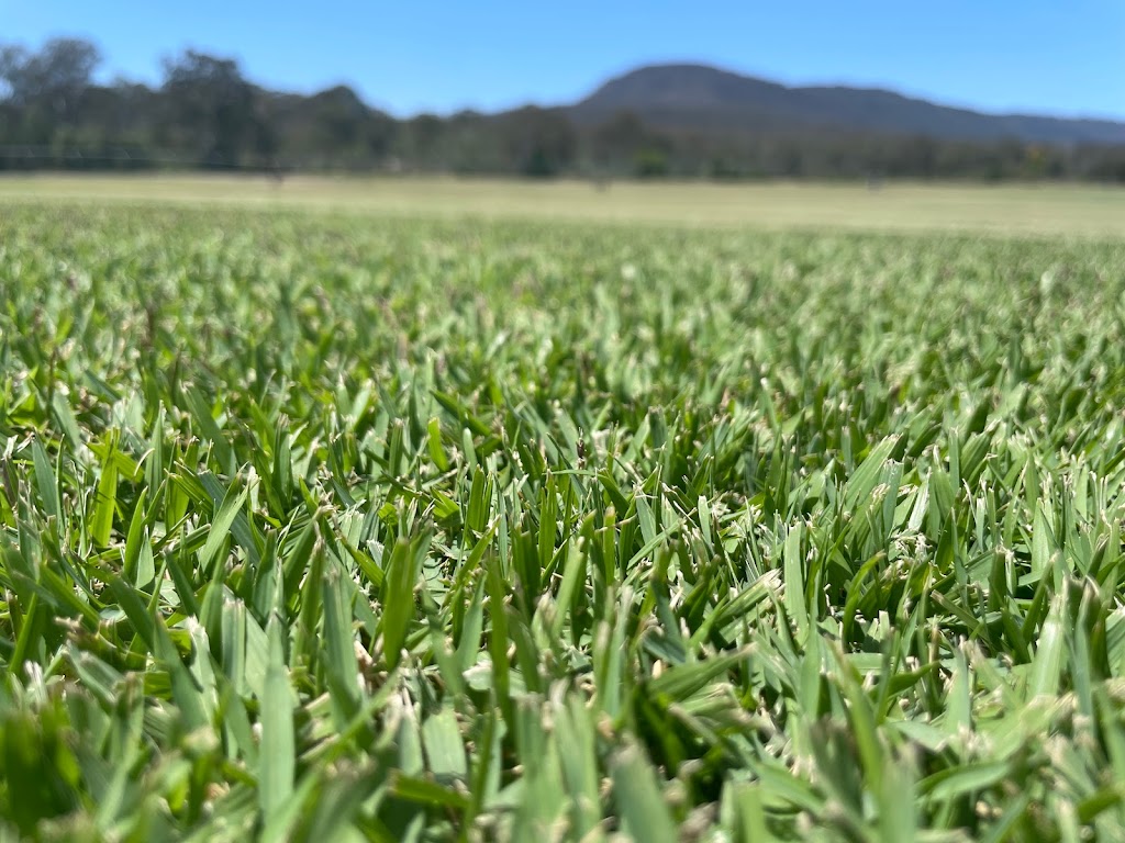 The Turf Shed | 742 Mundoolun Connection Rd, Boyland QLD 4275, Australia | Phone: 0417 852 444