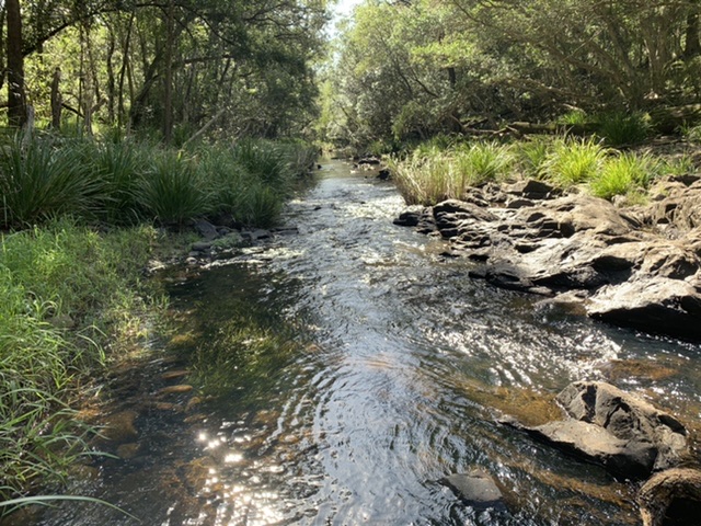 Beautiful hidden creek nerang | park | 67-69 Teasdale Dr, Nerang QLD 4211, Australia