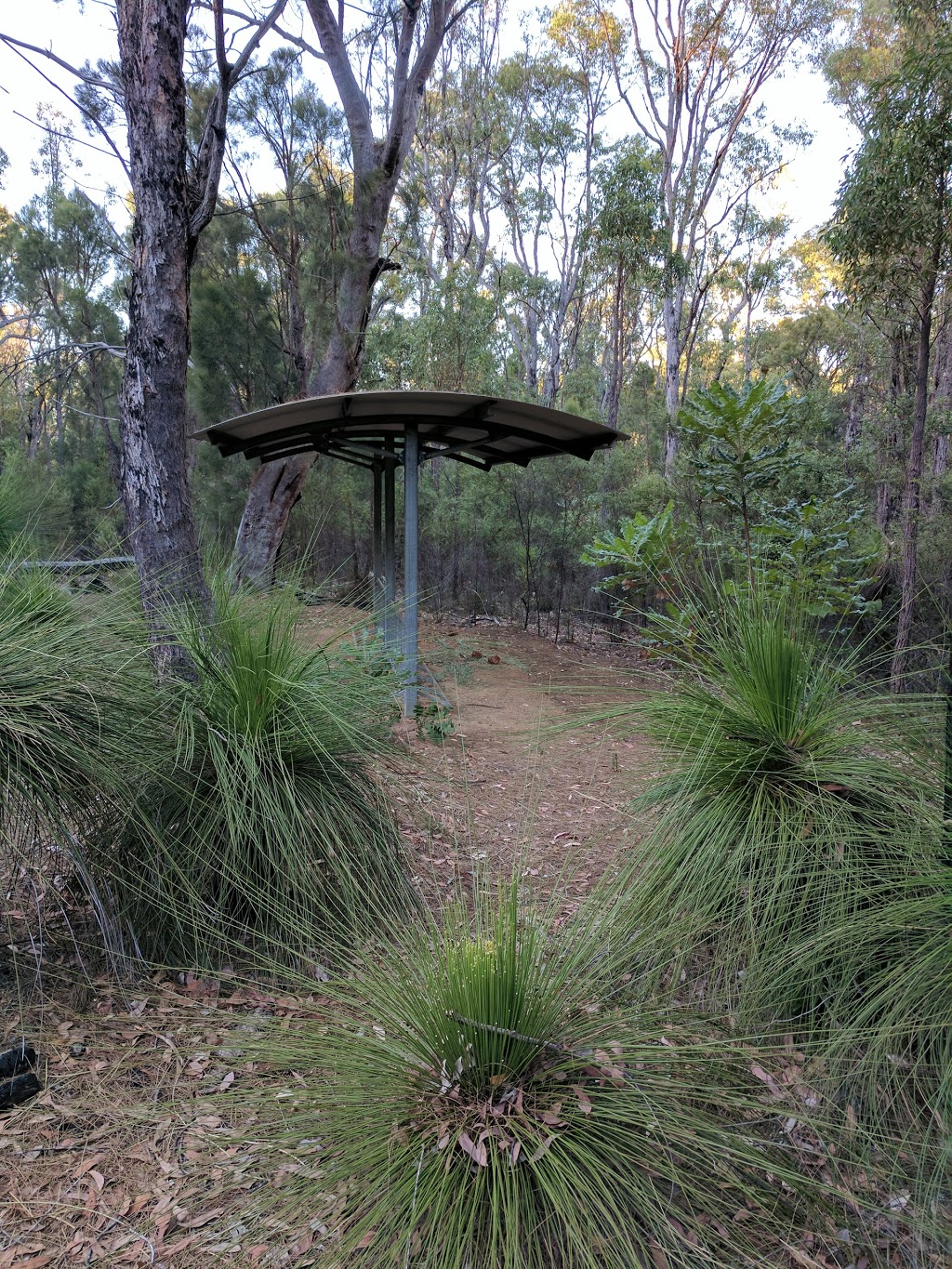 Carinyah Campsite | Carinyah Loop, Munda Biddi Trail, Karragullen WA 6111, Australia