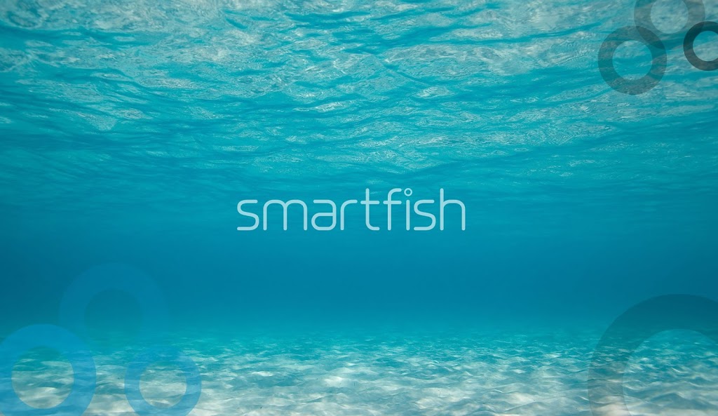 Smartfish Web Design & Digital Agency | 127 Grand Parade, Parrearra QLD 4575, Australia | Phone: 1300 269 405